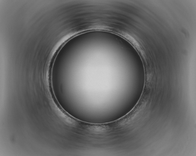X0000115800947200911131356
