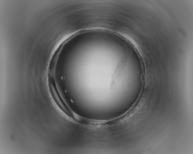 X0000115800949200911131356