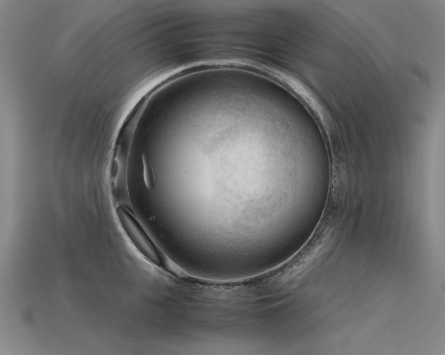 X0000115800951200911131356