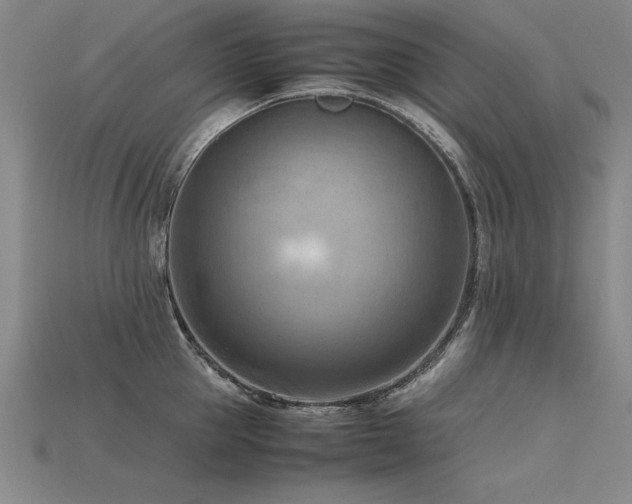 X0000115800953200911131356