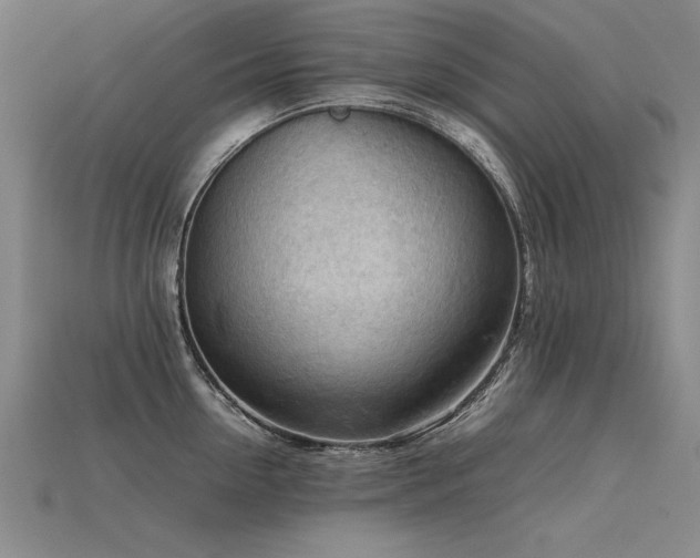 X0000115800954200911131356