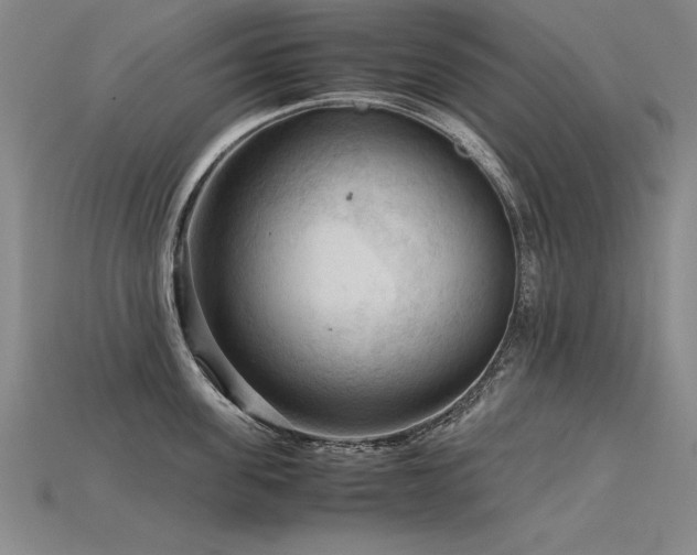 X0000115800955200911131356