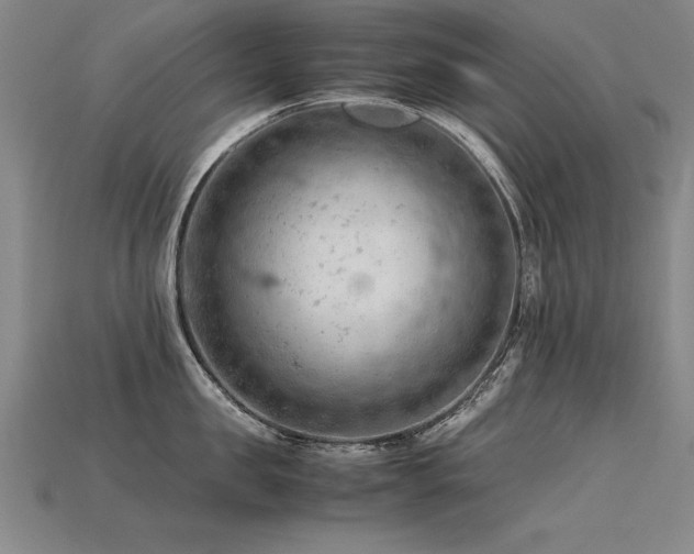 X0000115800957200911131356