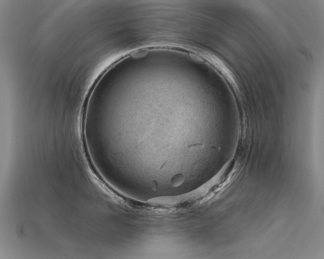 X0000115800958200911131356