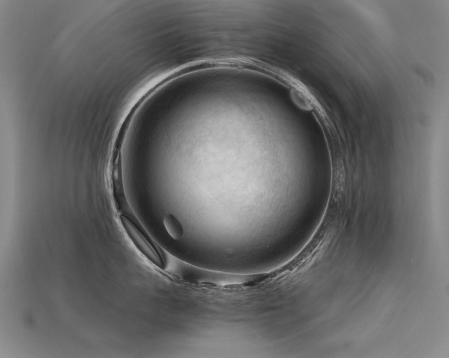 X0000115800959200911131356