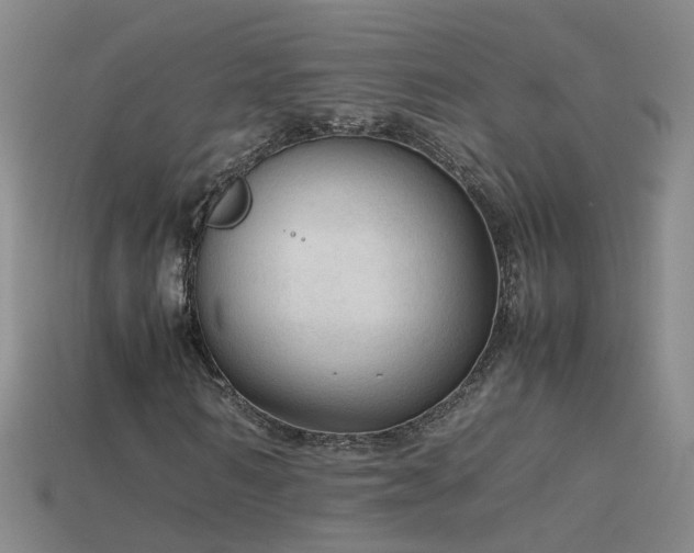 X0000115800962200911131356