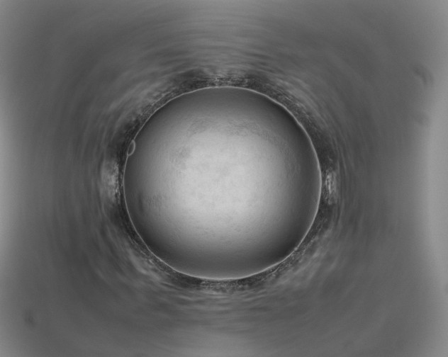 X0000115800963200911131356