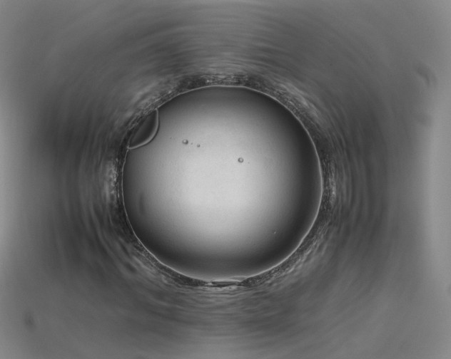 X0000115800964200911131356