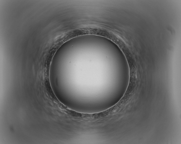 X0000115800965200911131356