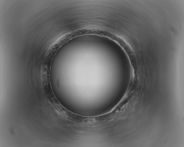 X0000115800968200911131356