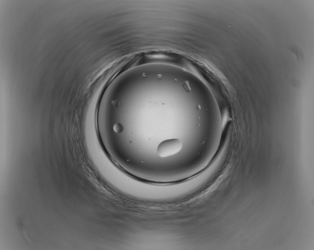 X0000115800969200911131356