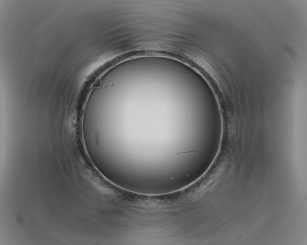 X0000115800971200911131356