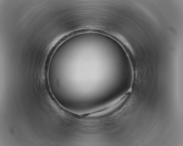 X0000115800972200911131356