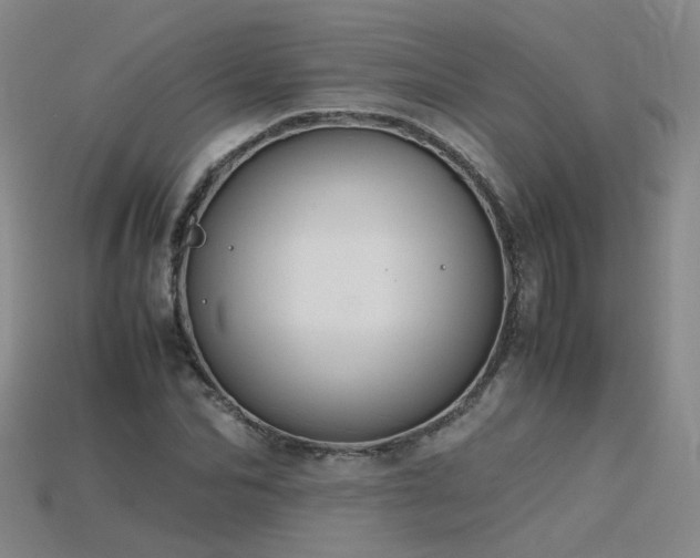 X0000115800974200911131356