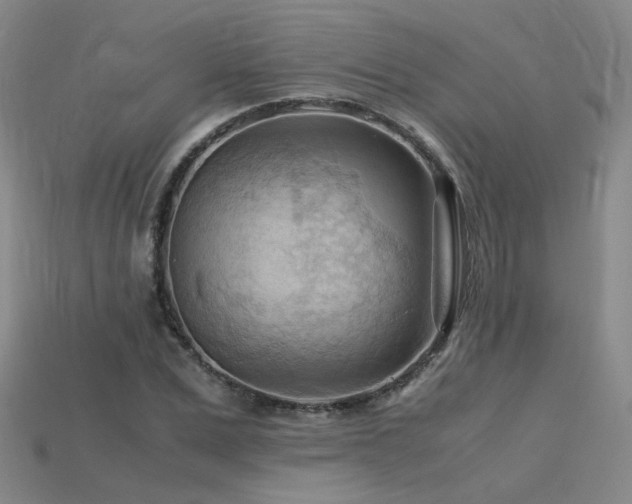 X0000115800975200911131355