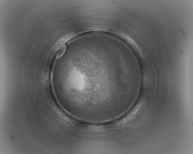 X0000115800977200911131355