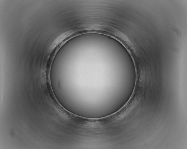 X0000115800978200911131355