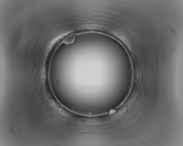 X0000115800979200911131355