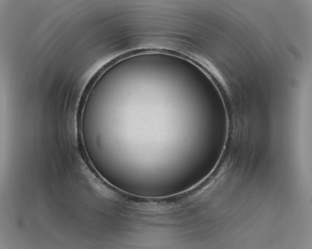 X0000115800980200911131355