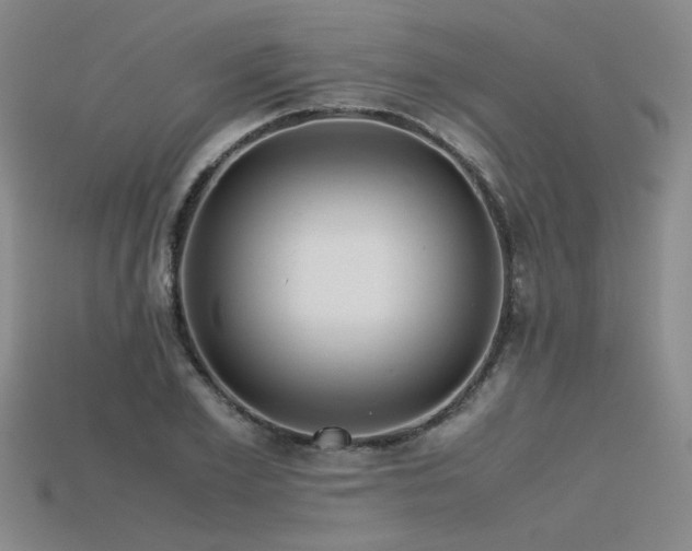 X0000115800981200911131355