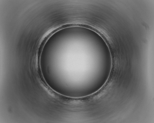 X0000115800982200911131355