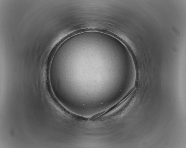 X0000115800983200911131355