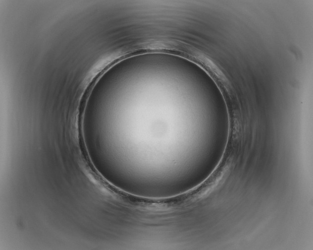 X0000115800986200911131355