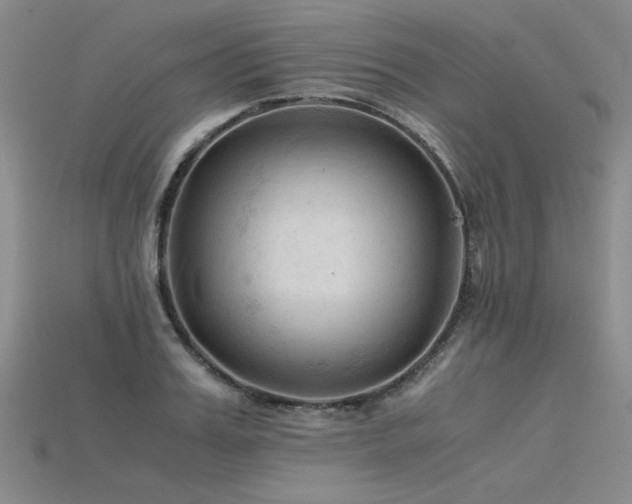 X0000115800987200911131355