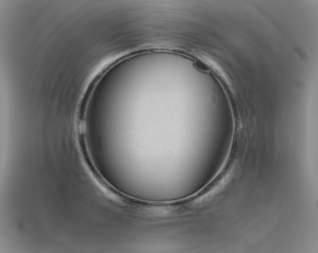 X0000115800989200911131355