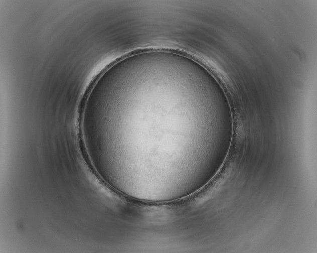 X0000115800990200911131355
