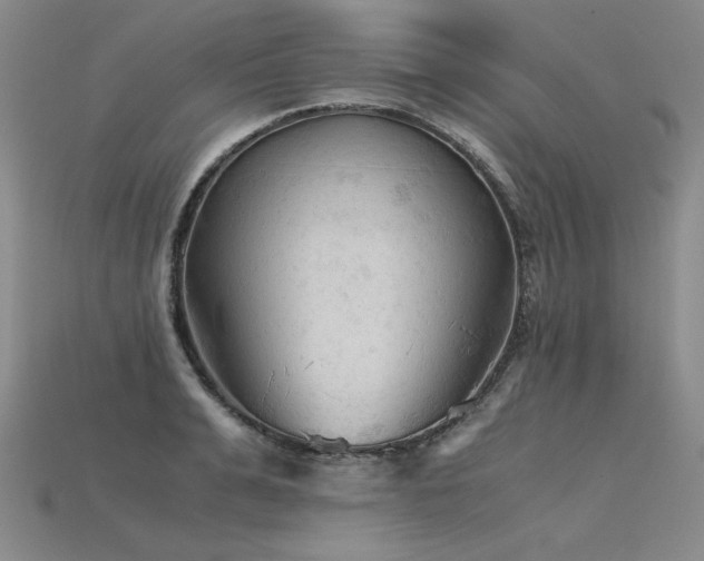 X0000115800991200911131355