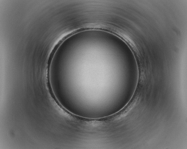 X0000115800992200911131355