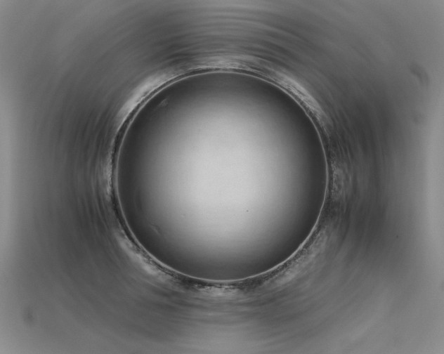 X0000115800994200911131355