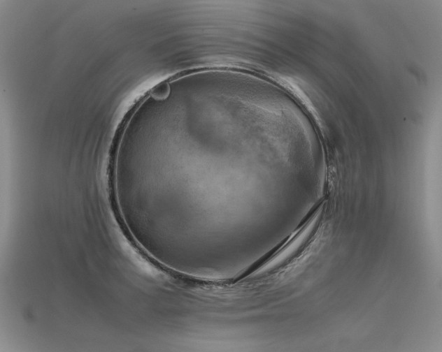 X0000115800995200911131355