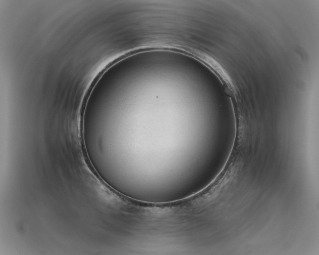 X0000115800996200911131355