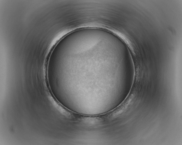 X0000115800998200911131355