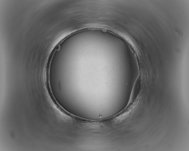 X0000115800999200911131355