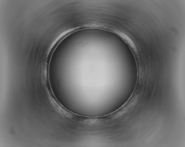 X0000115801000200911131355