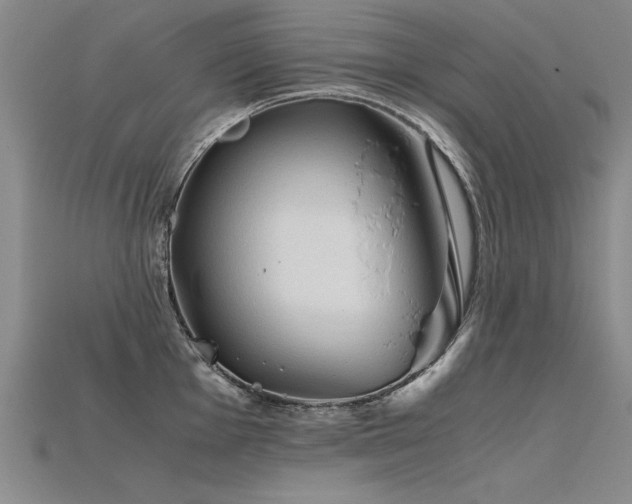 X0000115801001200911131355