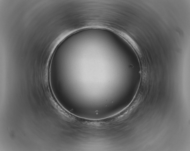 X0000115801004200911131355