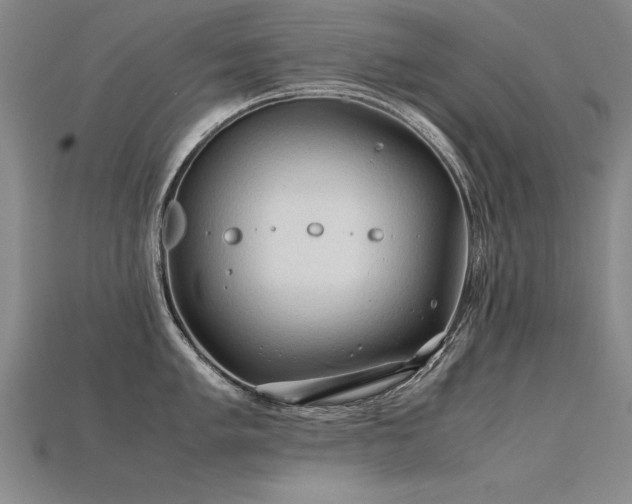 X0000115801005200911131355