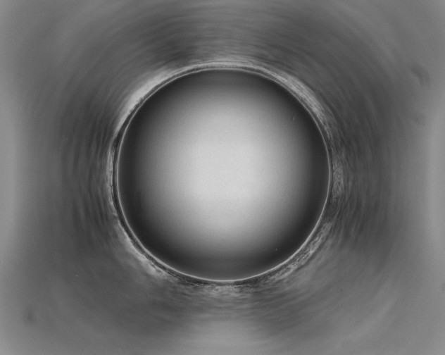 X0000115801006200911131355