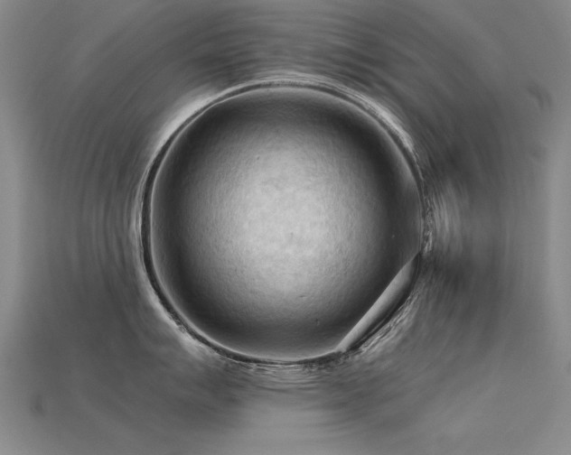 X0000115801007200911131355