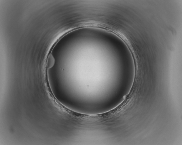 X0000115801008200911131355