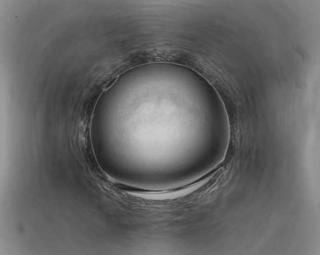 X0000115801010200911131354