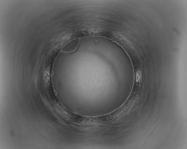 X0000115801011200911131354