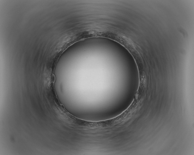 X0000115801012200911131354