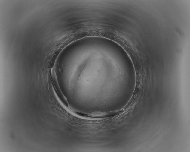 X0000115801013200911131354