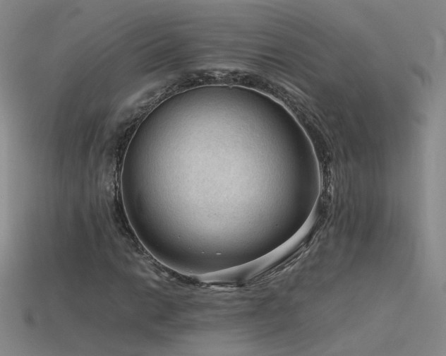 X0000115801014200911131354