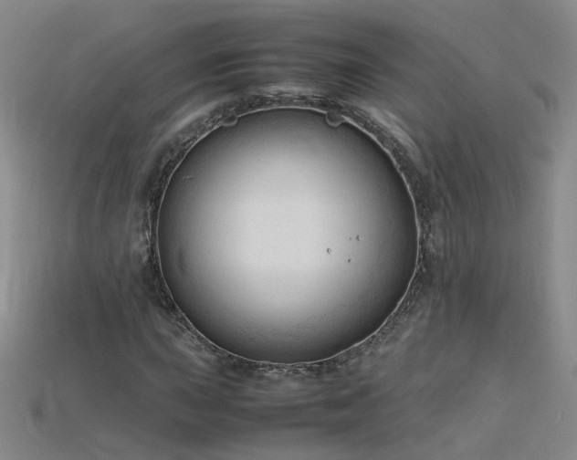 X0000115801015200911131354